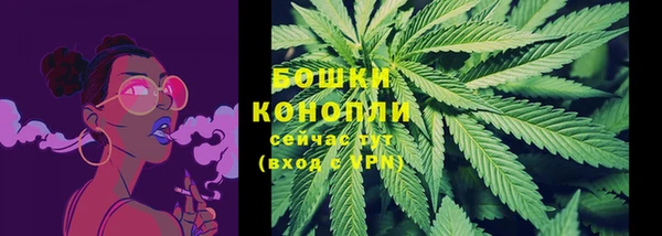 стафф Михайлов