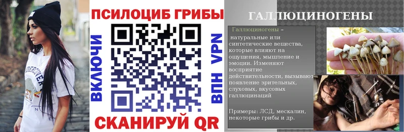 Галлюциногенные грибы MAGIC MUSHROOMS  как найти   Томилино 