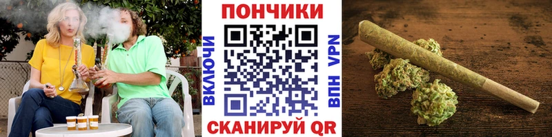 Бошки Шишки марихуана  где купить наркоту  Томилино 